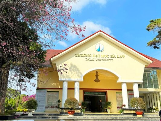 taynguyen kimanh 2 3668