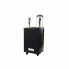 Âm thanh di động không dây INNOSMART TD-B790