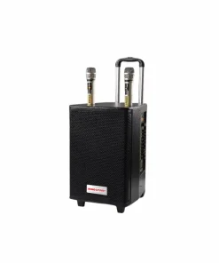 Âm thanh di động không dây INNOSMART TD-B790